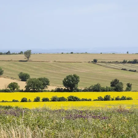 Дом отдыха Le Domaine De La Combe D'auribal Druelle Balsac